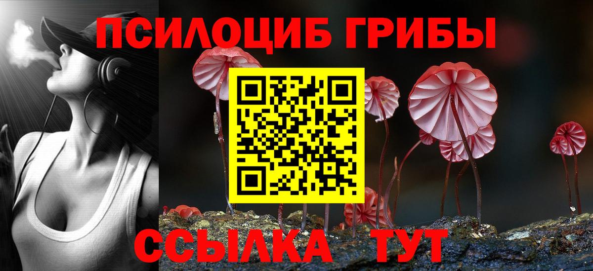 Псилоцибиновые грибы мицелий  дарнет шоп  Гулькевичи  Вход с VPN 